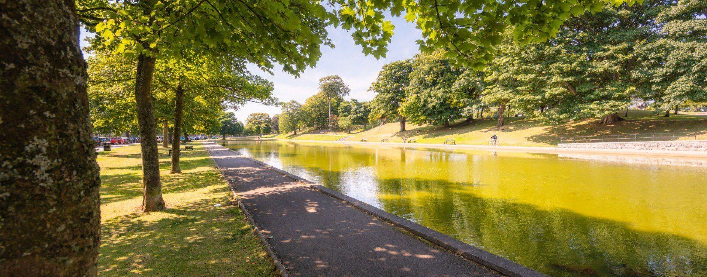 Duthie Park 2 Large 1