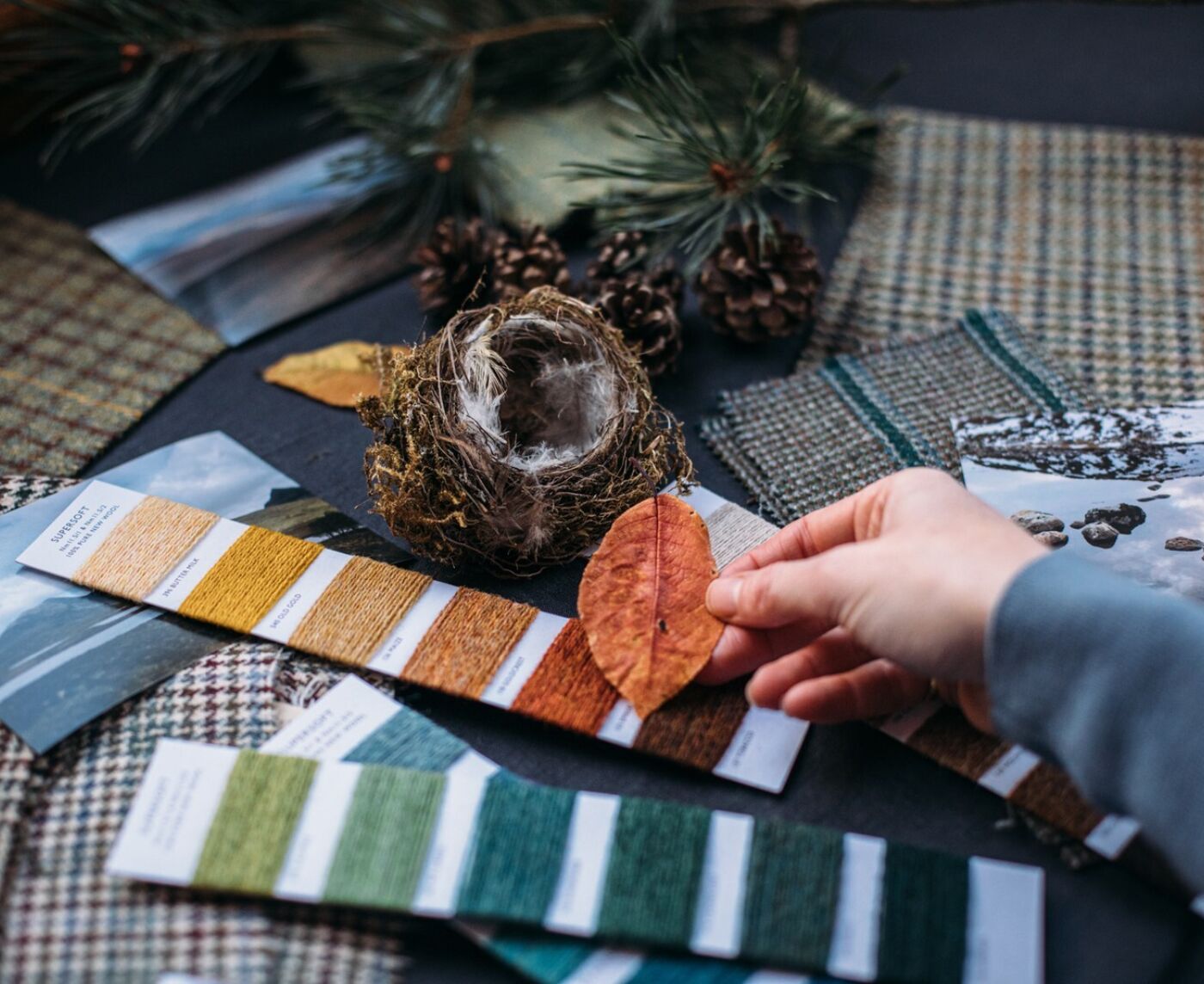 Araminta Campbell Custom Tartan Design4