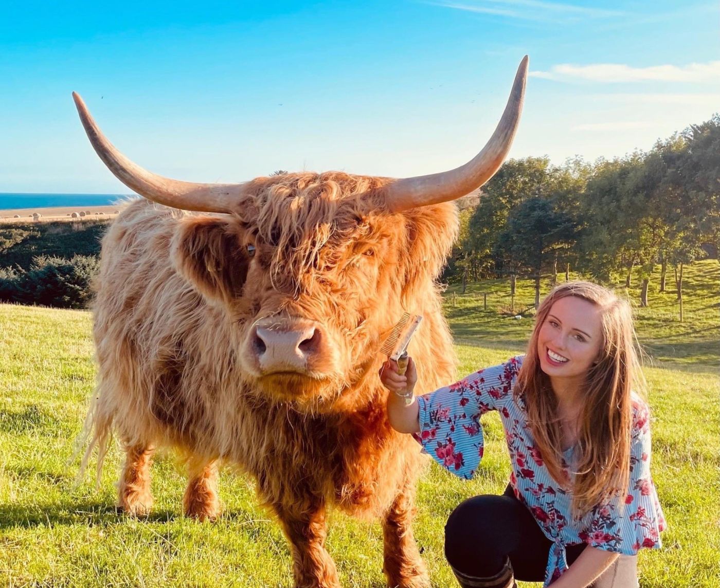 Farm Stop Aberdeenshire