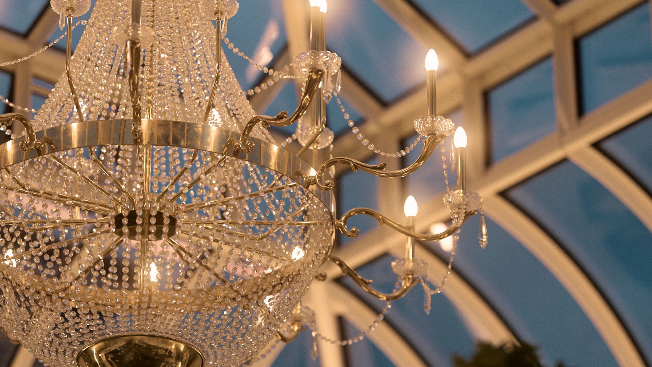 Marcliffe Skylark Jan 2026 Web conorgaultphotography 188