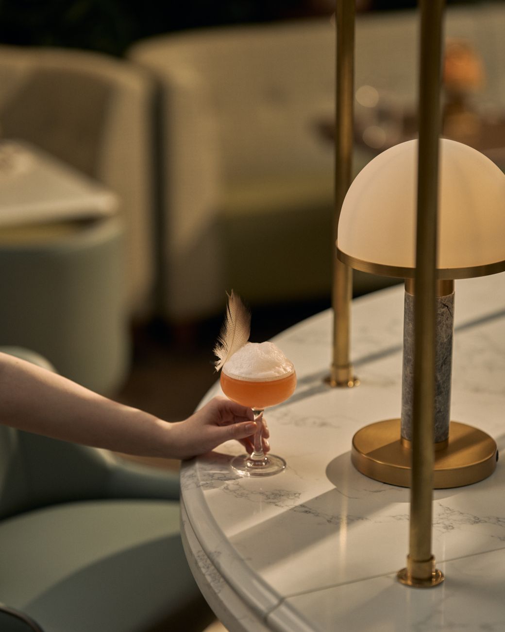 Marcliffe Skylark Imagery 1