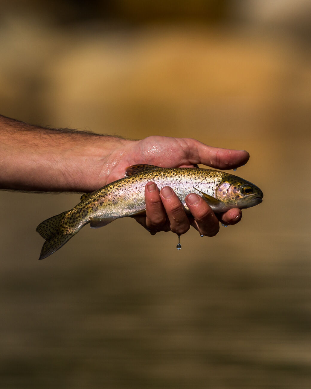 Fishing